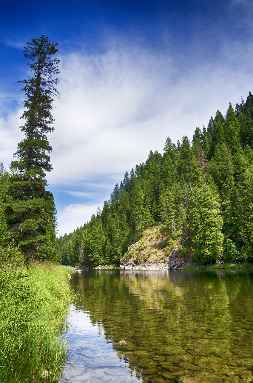 Healthcare Share in Idaho - Lochsa River Idaho Healthcare Share in Idaho - Lochsa River Idaho