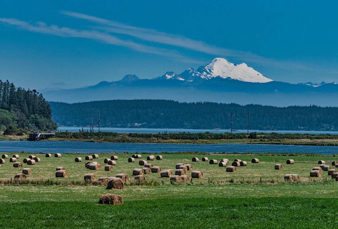 Healthcare Sharing Washington State